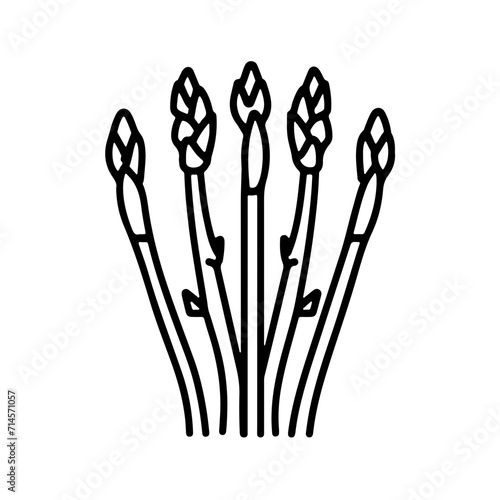Asparagus Icon
