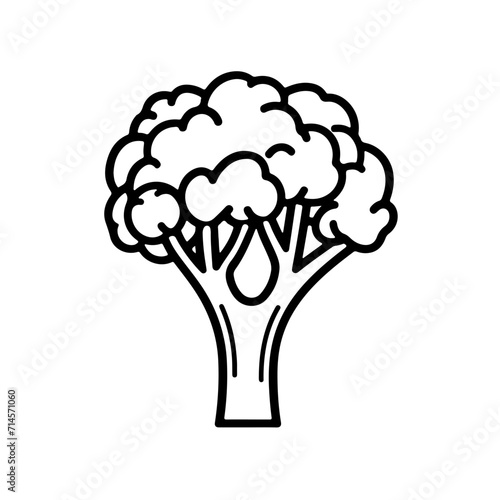Minimalistic Black Line Broccoli Icon