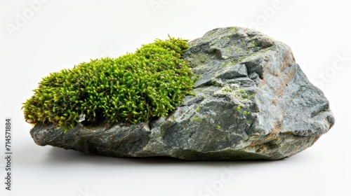 A rocks covered with green moss, white background.