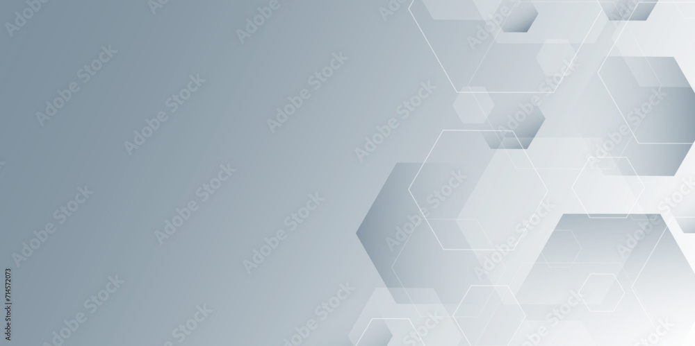 Abstract gray hexagon or digital technology background. modern hexagon background vector illustration. abstract futuristic background of the scientific hexagonal pattern. Medical design, Vector . Abstract gray hexagon or digital technology background. modern hexagon background vector illustration. abstract futuristic background of the scientific hexagonal pattern. Medical design, Vector .
