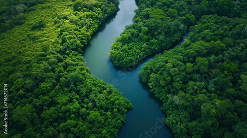 an aerial view of a river running through a lush green forest filled with lots of trees on either side of the river is a blue body of water surrounded by lush green trees.