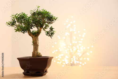 Beautiful bonsai tree in pot on wooden table, space for text