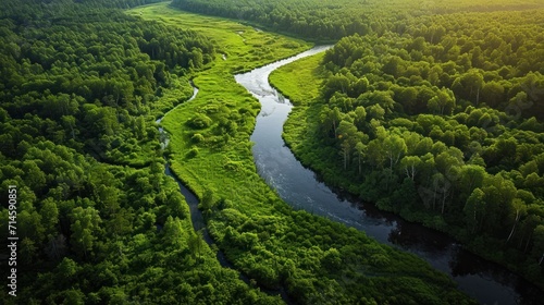  an aerial view of a river running through a lush green forest filled with lots of trees and a river running through the middle of the center of the picture is a lush green area.