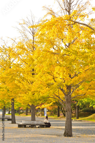 新潟県スポーツ公園の紅葉（新潟県） photo