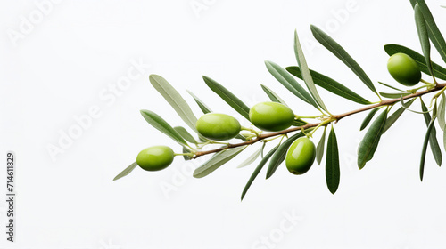 Fresh Green Olives on Olive Branch - Organic Culinary Concept with Copy Space for Text on White Background