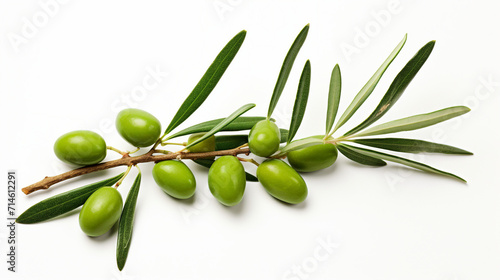 Fresh Green Olives on Olive Branch - Organic Culinary Concept with Copy Space for Text on White Background
