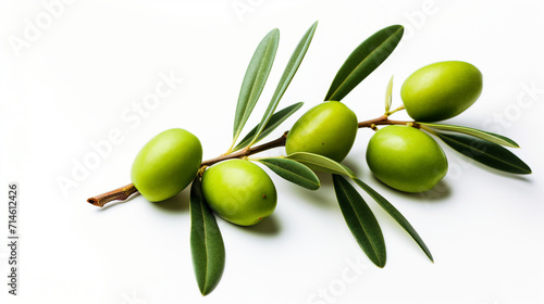 Fresh Green Olives on Olive Branch - Organic Culinary Concept with Copy Space for Text on White Background