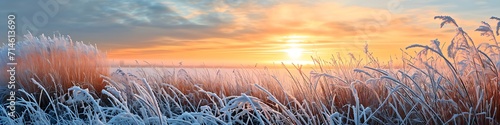 Norddeutschland Landschaft bei Frost im Winter, Panorama Sonnenaufgang, Morgendämmerung bei klirrend kaltem und klaren Wetter photo