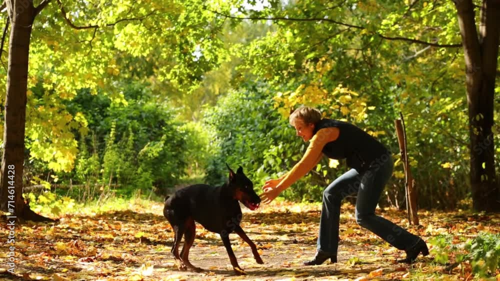 Happy woman plays with her dog in sunny autumn park Happy woman plays with her dog in sunny autumn park