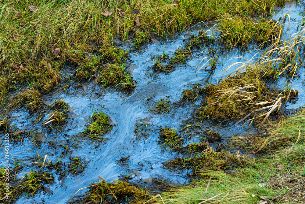 Oil pollution in the water, environmental catastrophe