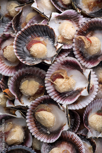 Frozen scallops in a store. Close up