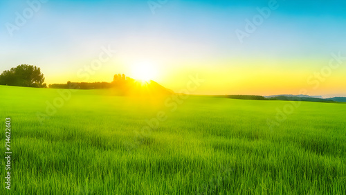 Sunset over green field landscape. Beautiful natural agricultural in the summertime 34.