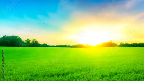 Sunset over green field landscape. Beautiful natural agricultural in the summertime 33.