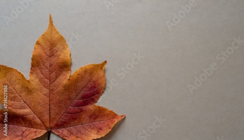 textured autumn leaf background with room for copy space