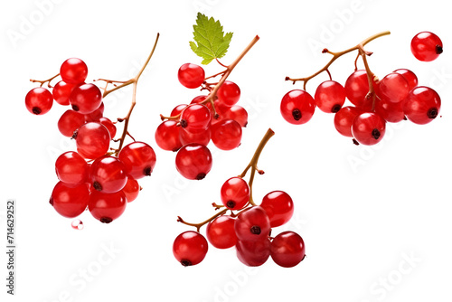 redcurrants flying isolated on transparent background