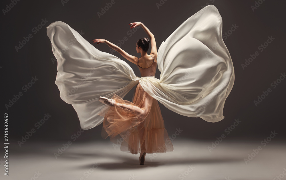 Naklejka premium Ballerina. Young graceful woman ballet dancer, dressed in professional outfit, shoes and beige weightless skirt is demonstrating dancing skill. Beauty of classic ballet.
