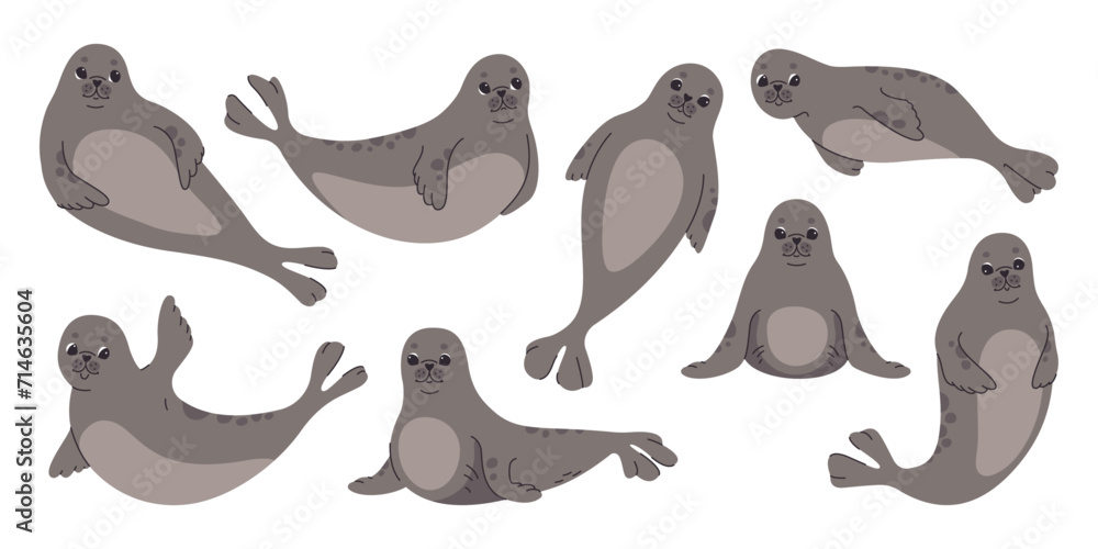 Cute seal in various poses set. Vector flat illustration on white background.