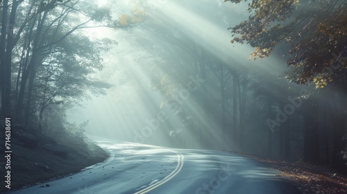  a road in the middle of a forest with sunbeams coming through the trees on a foggy day with sunbeams coming through the trees on the road.