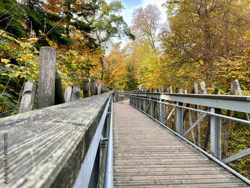 The treetop path with a wooden bridge through the treetops in the Teutoburg Forest in Bad Iburg in Germany in autumn