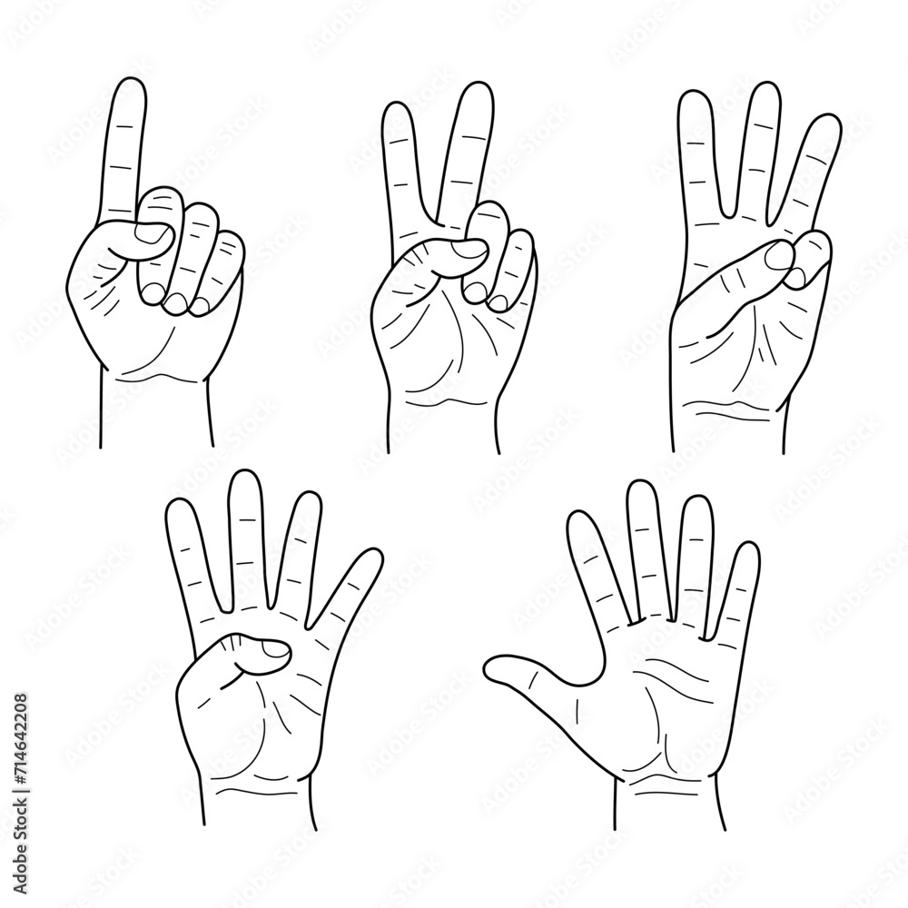 A set of hand doodle illustrations showing the numbers 1, 2, 3, 4, 5. Sketches vector illustration. A set of hand doodle illustrations showing the numbers 1, 2, 3, 4, 5. Sketches vector illustration.