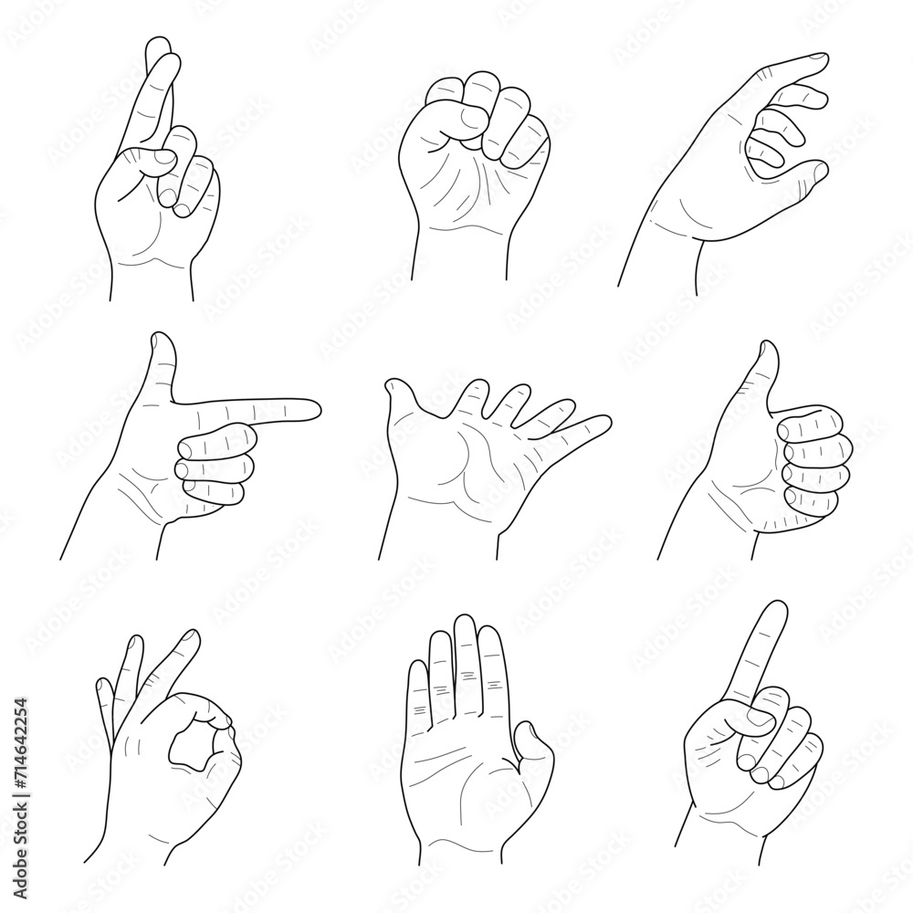 Fototapeta premium Collection of male hand gestures set on white background. Sketches vector illustration.