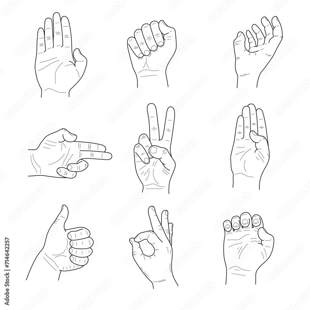 Fototapeta premium Collection of male hand gestures on white background. Sketches vector.