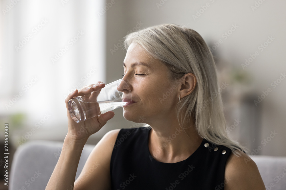 Close up pretty mature female sit on sofa at home enjoy fresh natural water. Middle-aged woman holding glass drink natural beverage, make sips, prevent body and skin dehydration. Slimming, refreshment Close up pretty mature female sit on sofa at home enjoy fresh natural water. Middle-aged woman holding glass drink natural beverage, make sips, prevent body and skin dehydration. Slimming, refreshment