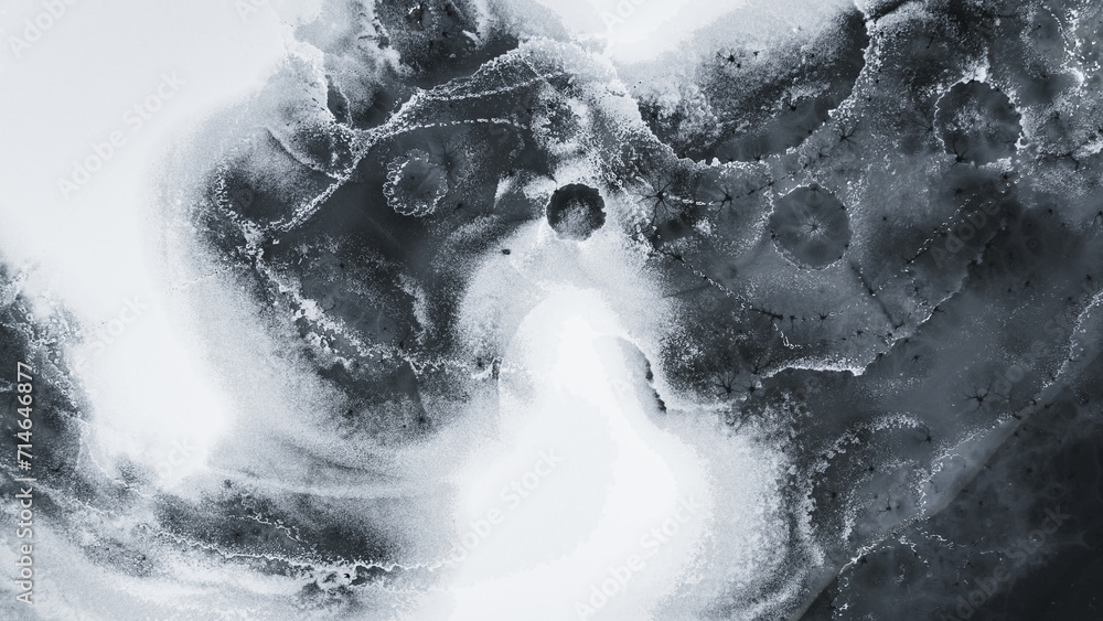 Obraz na płótnie Winter animal traces on melting ice on the river w salonie