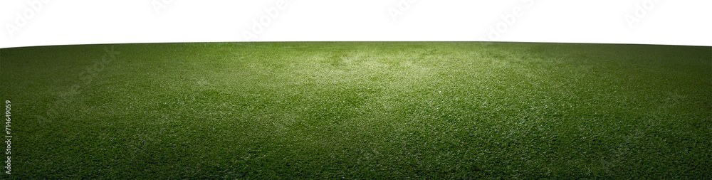 Football stadium grass HD