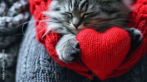 Tableau sur toile Cute cat hugs with a woolen heart