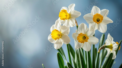  a bouquet of white and yellow daffodils in front of a blue sky with a few white and yellow flowers in the middle of the daffodils.