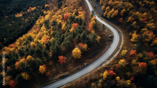 Autumnal Aerial View of a Winding Road Through a Forest