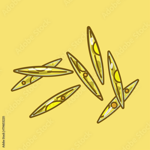 Nitzschia is a genus of single-celled algae called diatoms. They are found in both marine and freshwater environments and are incredibly common