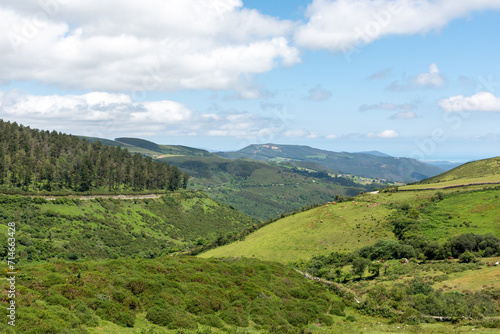 Green landscape of meadows and mountains with free cattle in Galicia