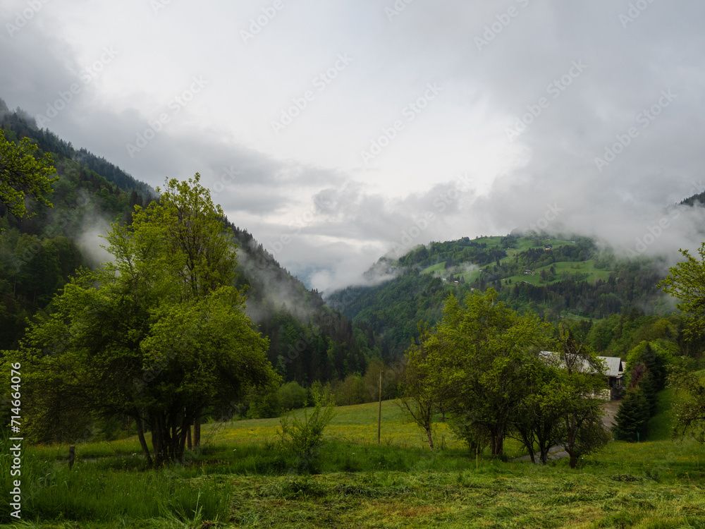 Paisaje nublado y con bruma de alta montaña en medio de bosques y prados verdes Paisaje nublado y con bruma de alta montaña en medio de bosques y prados verdes