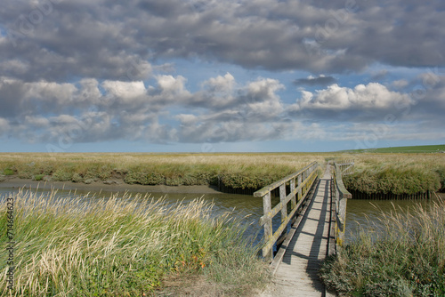 Salt Marsh at North Sea in North Frisia close to Westerhever Lighthouse,Eiderstedt Peninsula,Germany photo