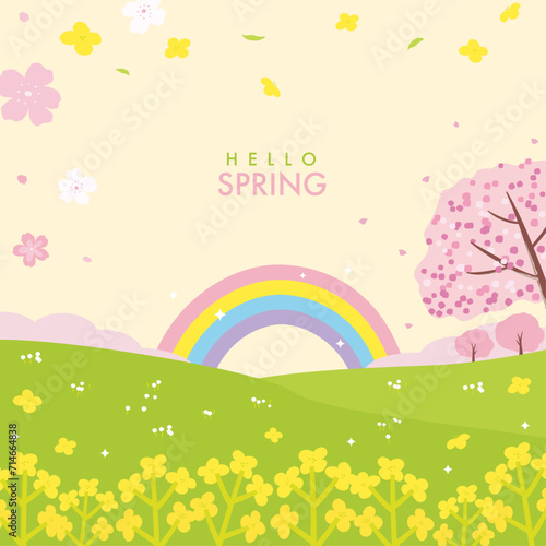 Cherry blossom and canola flower background, beautiful spring landscape.