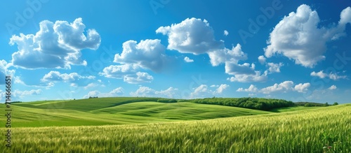 Scenic scene with green fields and blue skies  few clouds