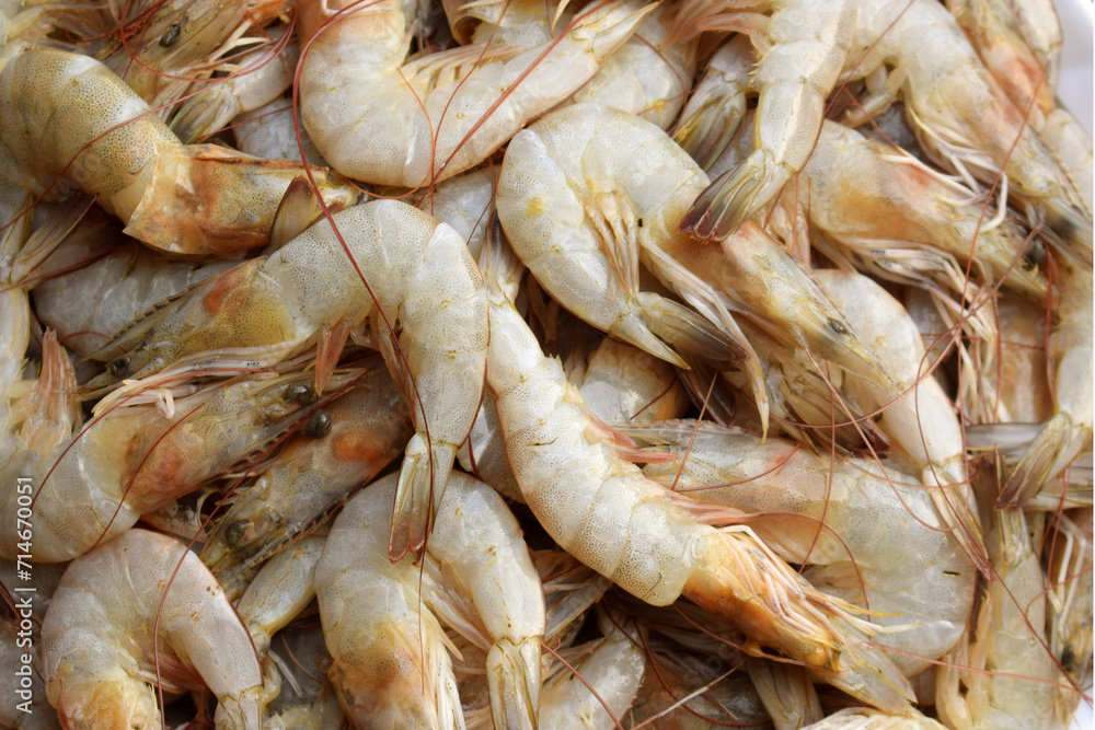 fresh shrimp in the market