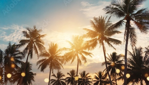 tropical palm coconut trees on sunset sky flare and bokeh nature background © Marcelo