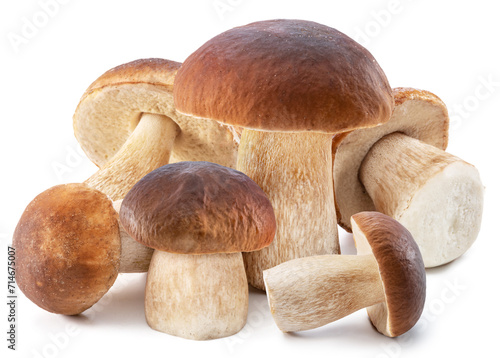 Group of porcini mushrooms isolated on white background.