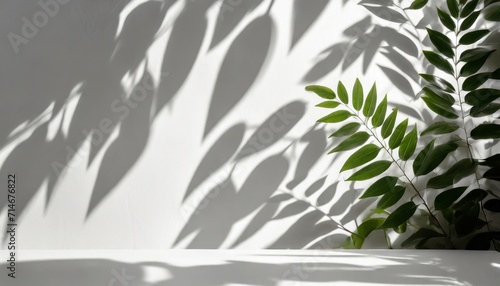 blurred shadow from leaves plants on the white wall minimal abstract background for product presentation spring and summer