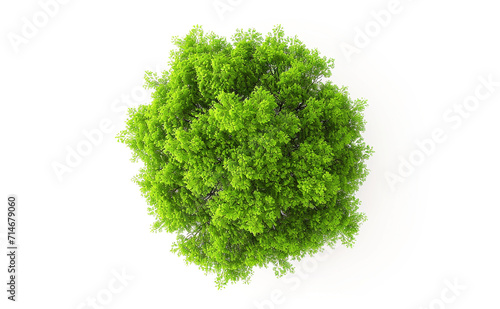 green grass isolated on white background. top view. Generative Ai.