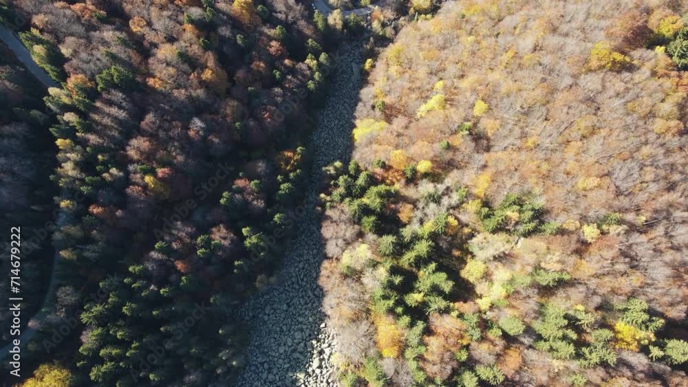 Aerial autumn view of Stone river know as Zlatnite Mostove (Golden Bridges) at Vitosha Mountain, Sofia City Region, Bulgaria Aerial autumn view of Stone river know as Zlatnite Mostove (Golden Bridges) at Vitosha Mountain, Sofia City Region, Bulgaria