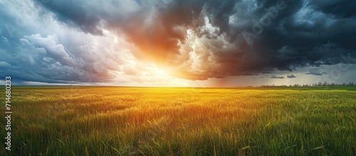 Sunny panorama of grassy field under dark rain clouds. photo