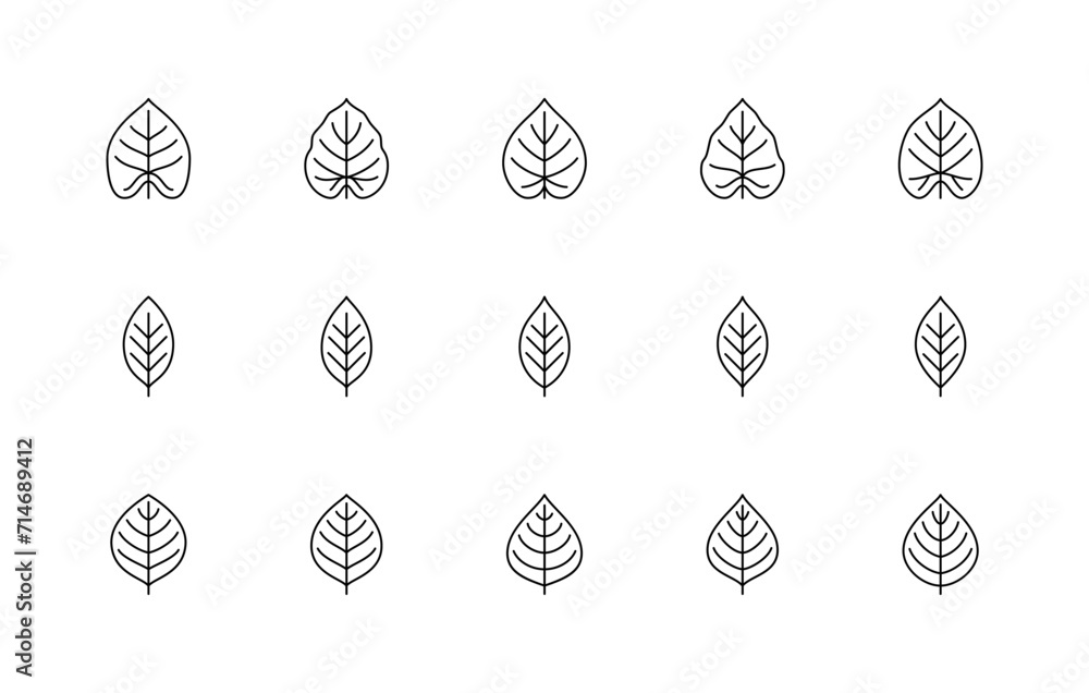 Leaf linear icons vector set. Nature symbols. Philodendron acutifolium, cherry, apple. Leaf linear icons on white background. Leaf linear icons vector set. Nature symbols. Philodendron acutifolium, cherry, apple. Leaf linear icons on white background.