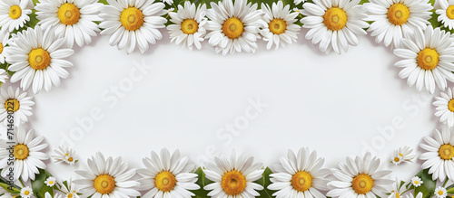 White daisies frame, spring flowers on white background. Panoramic background banner Mother's Day, Women's Day, Valentine's Day. Copy space, top down. Generative AI. ©  DigitalMerchant