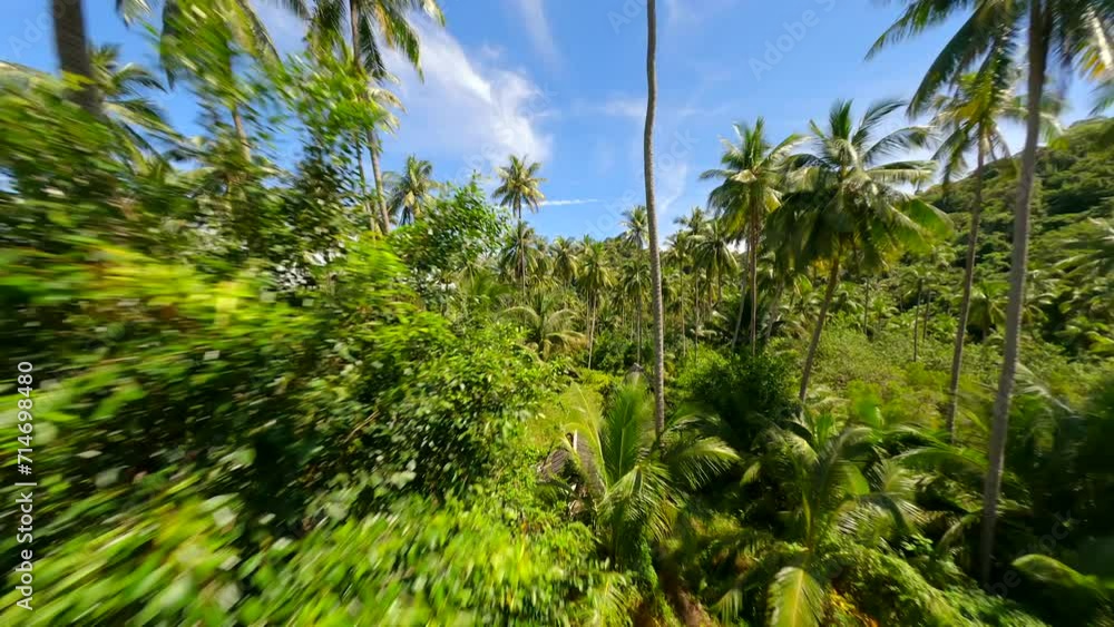 FPV drone flight through the tropical forest with towering palm trees and exotic plants on paradise island in Thailand. FPV drone flight through the tropical forest with towering palm trees and exotic plants on paradise island in Thailand.