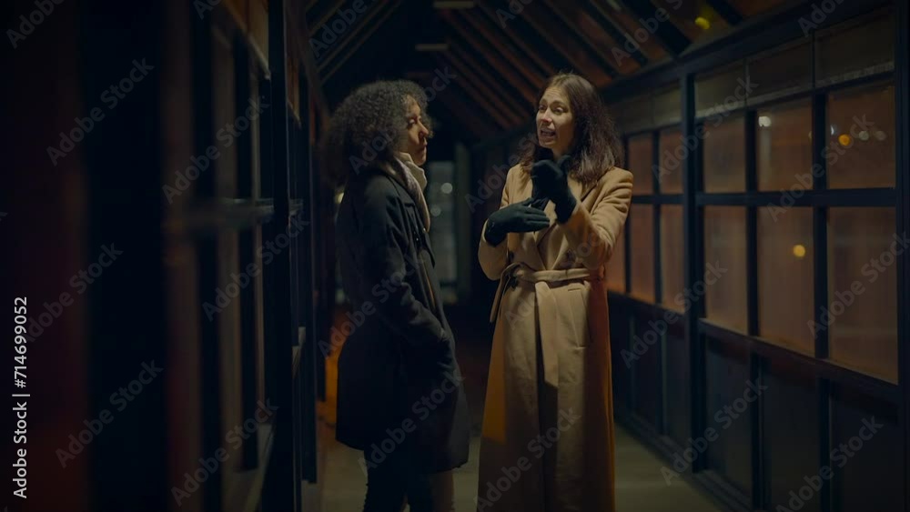 Young Woman Confronting Her Female Friend on Disagreement Quarreling Young Woman Confronting Her Female Friend on Disagreement Quarreling