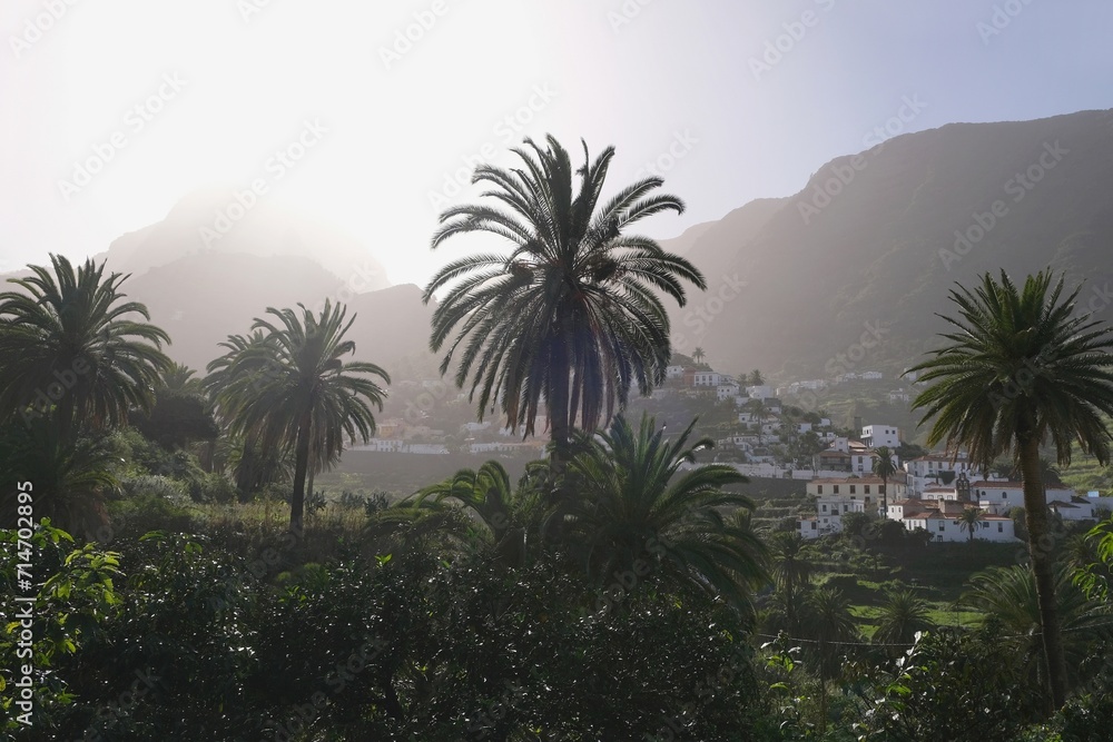 Beautiful scenery of palms and panorama of town Hermigua in mountains on misty day on La Gomera, Canary Islands, Spain